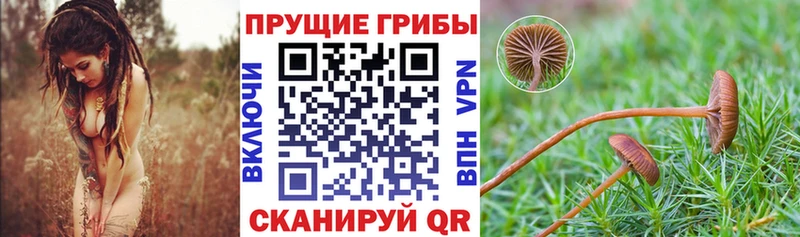 Галлюциногенные грибы мухоморы  Южа 
